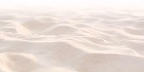 Field of Butterflies Retreat \ud83e\udd8b 