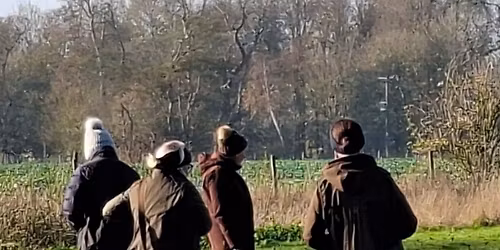 Group Gundog Training