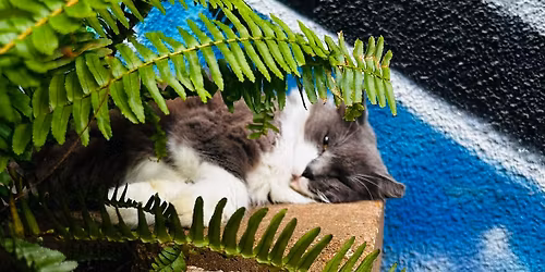 Trivia Thursday with Tony Sassi