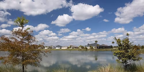 Love Your Shoreline & Protect Your Water the Florida-Friendly Way