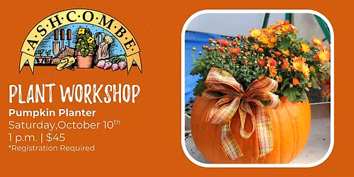 Pumpkin Planter