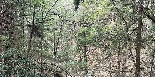 VetBuilt Garage: St. Patrick Theme Trail Ride -> Open to ALL