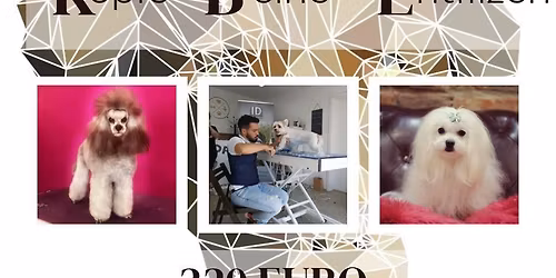 K\u00f6pfe, Beine und Entfilzen mit Francisco