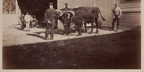  Life of a Laborer, a Working-Class History Tour