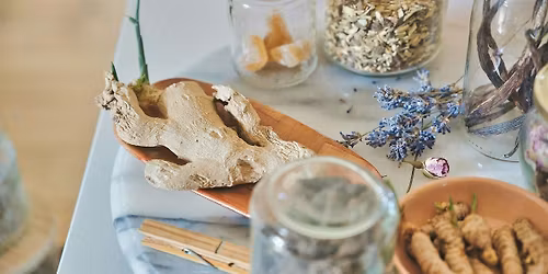 Free Seminar: Introduction to Herbal Healing