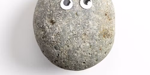 Pet Rock