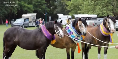 Lilydale & Yarra Valley Agricultural Show 2025