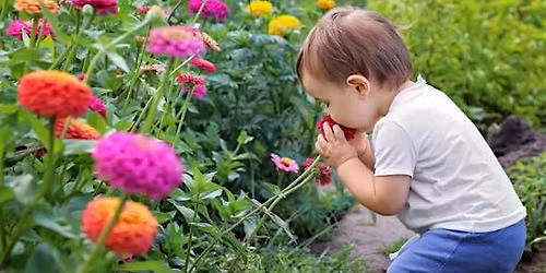 Little Farmers Parent and Me Fall Sessions 2026 September - December