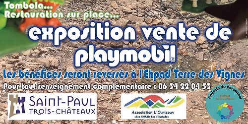 Exposition vente Playmobil 