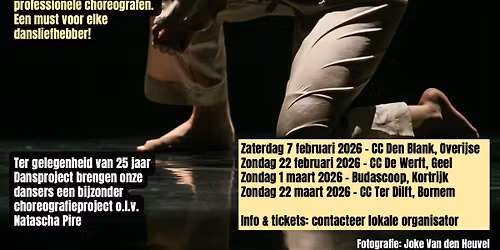 Dansproject Bornem