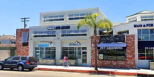 Seal Beach - Dog dental cleaning