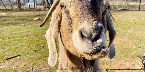 2026 Paulus FarmPark Season Pass Sale