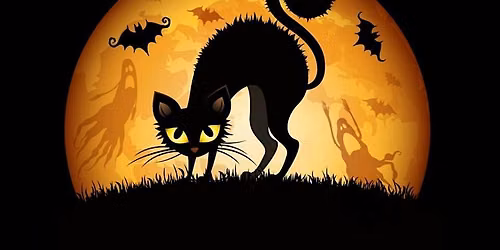 Halloween Donation Drive Saturday, October 24th, at Second Hand Purrs!!!!!!