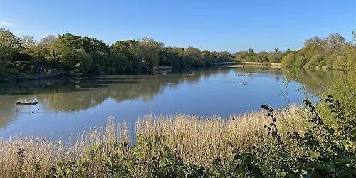 Riverside Walk - London Rivers Week