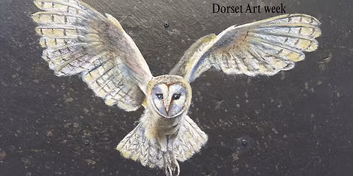 Nick Andrew, Tanya Hinton and Liz Tyler - Dorset Art Week: A Gallery Exhibition