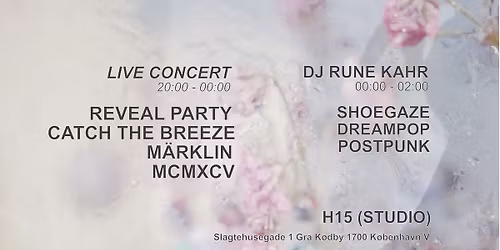  REVEAL PARTY + CATCH THE BREEZE +  MCMXCV + MÄRKLIN PÅ H15 (STUDIO)