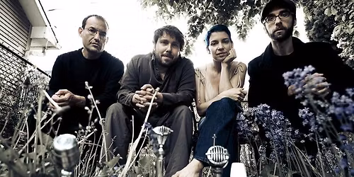 Sleepytime Gorilla Museum