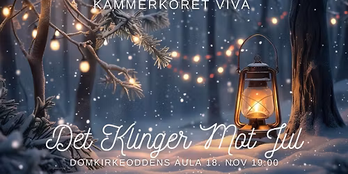 Det Klinger Mot Jul - F\u00f8rjulskonsert med Viva 