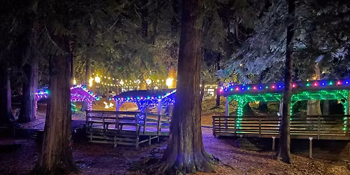 Winterfest & Vendor Market at Meinig Park \u2744\ufe0f 