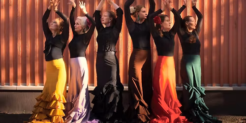 Sue\u00f1os Flamencos \u2013 Flamencounelmia