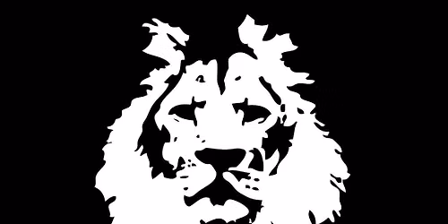 JUNGLE LION 
