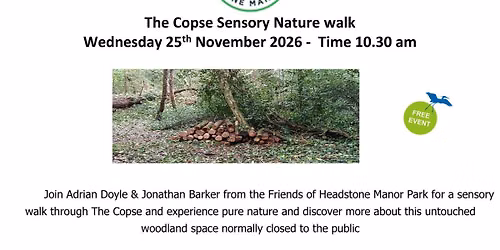 The Copse Walk (Autumn) 
