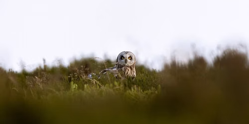 Wildlife Photo Walk with the Walking Photographer