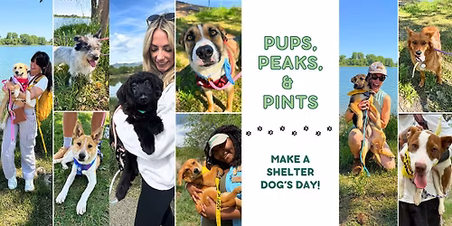 Pups, Peaks, & Pints: Walk & hang with adoptable shelter dogs!