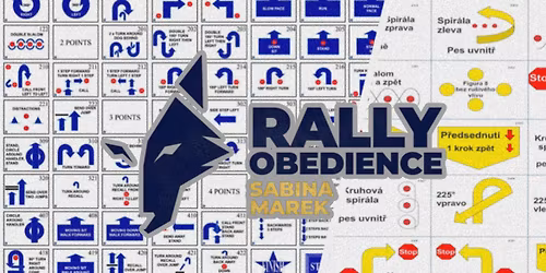 Intenzivka rally obedience na z\u00e1pad\u011b