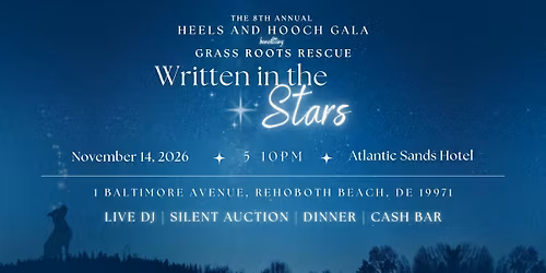 8th Annual Heels & Hooch Gala: Written in the Stars, A Night of Second Chances