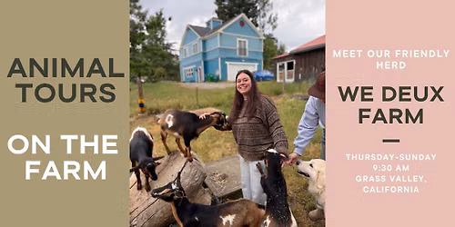 Meet Our Friendly Animals!