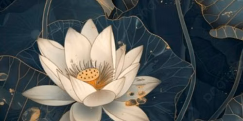 Monthly wellbeing retreat