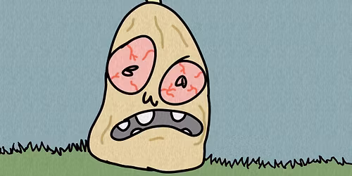 GOURDS EP RELEASE SHOW