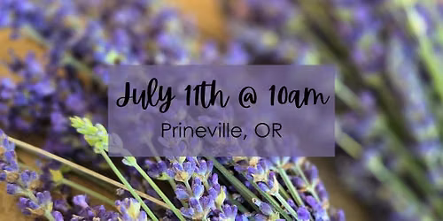Pick & Paint Lavender (morning class)