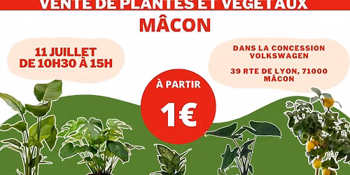 M\u00c2CON - V\u00e9g\u00e9taux et Plantes \u00e0 partir de 1\u20ac by Plantes Addict