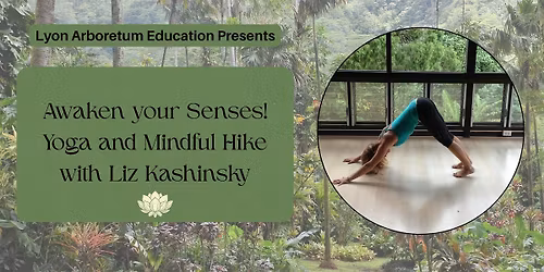 Awaken Your Senses! Yoga and Mindful Hike - January
