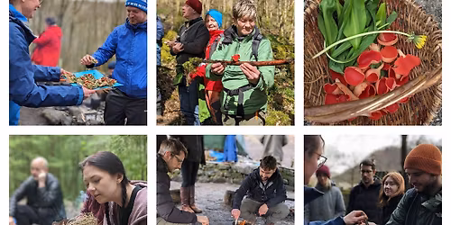 Spring Foraging Course 