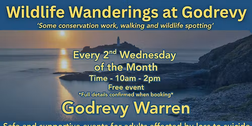 Wildlife Wanderings at Godrevy with Sunrise Cornwall CIC