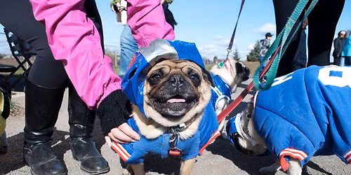 Pugapalooza 2025