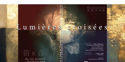Exposition \u00e0 Paris : \u00ab Lumi\u00e8res crois\u00e9es \u00bbReiko Ariki x Daniel Kenigsberg 
