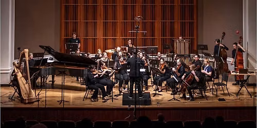 Sound Ecologies Chamber Orchestra at CAMi: Orchestramania III