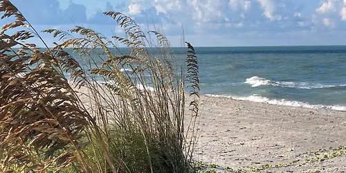 Right Plant in Every Place on Barrier Islands @ Fort Myers Beach Library