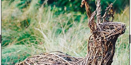 Willow Workshops