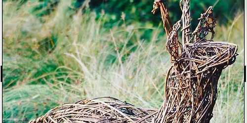 Willow Workshops