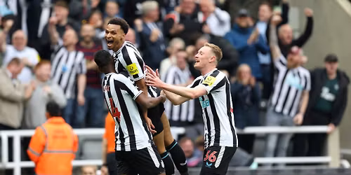 Fulham FC vs Newcastle United FC at Craven Cottage