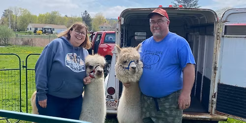 Alpacas Visit Mother's Day Weekend 
