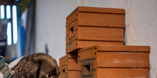 Detection Dog Two-Day Workshop