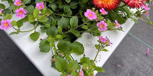 Pots of Possibilities \u2013 Get Ready for the Heat