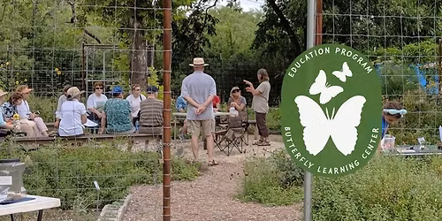 Fall Planning & Planting for Spring Butterflies