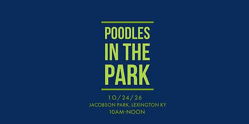 Poodles in the Park